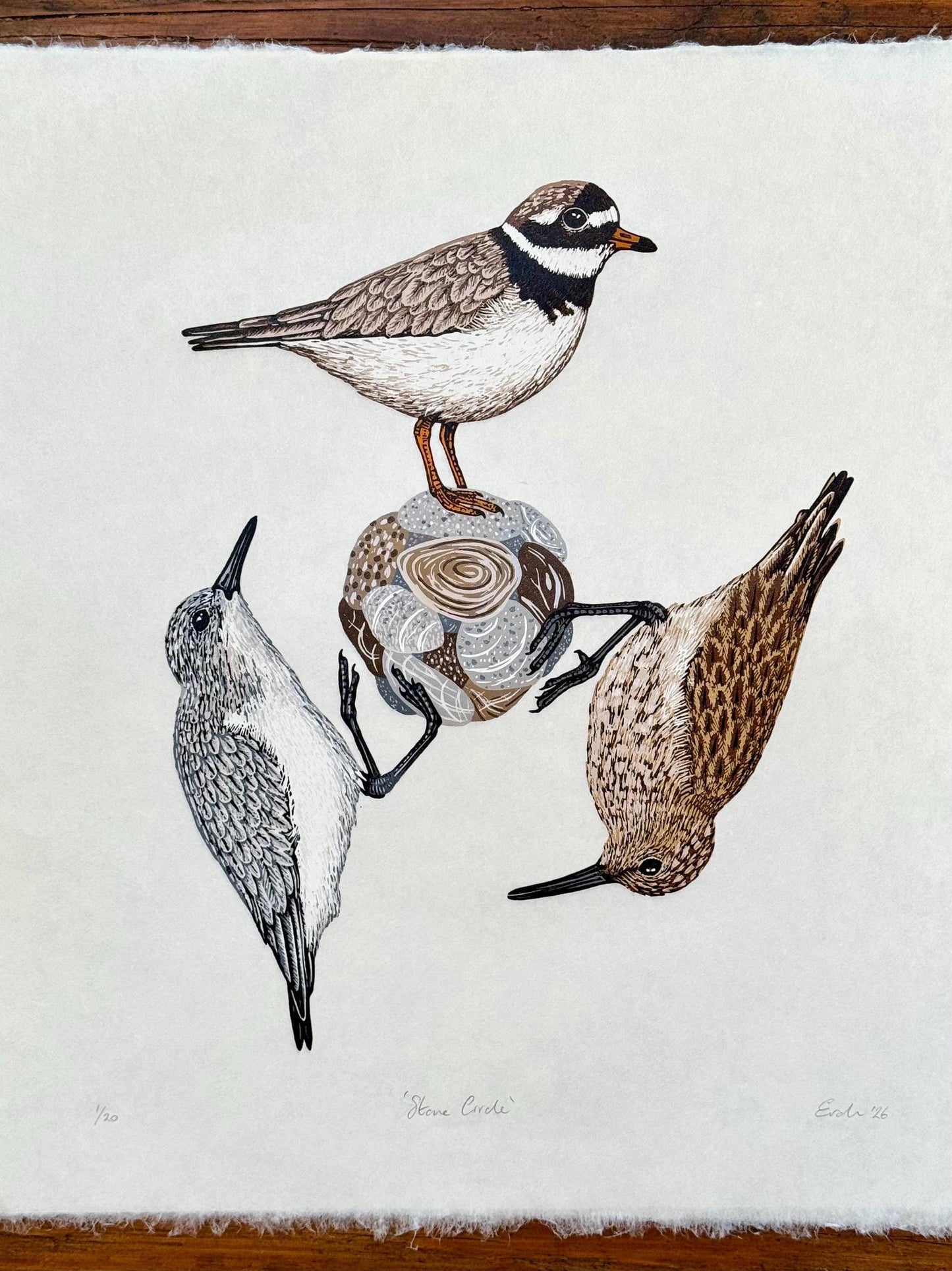 Stone Circle - original linocut print of three wading birds