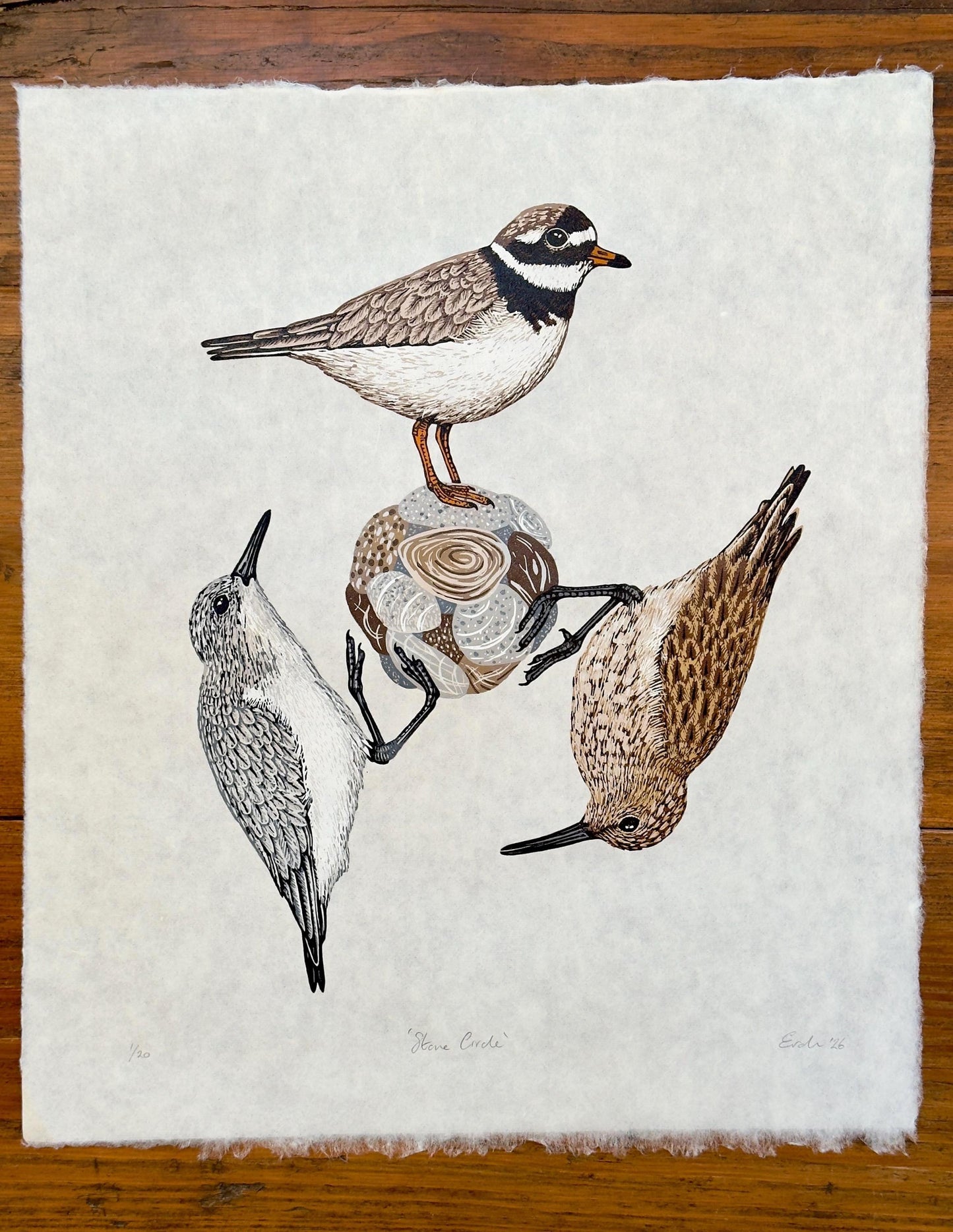 Stone Circle - original linocut print of three wading birds