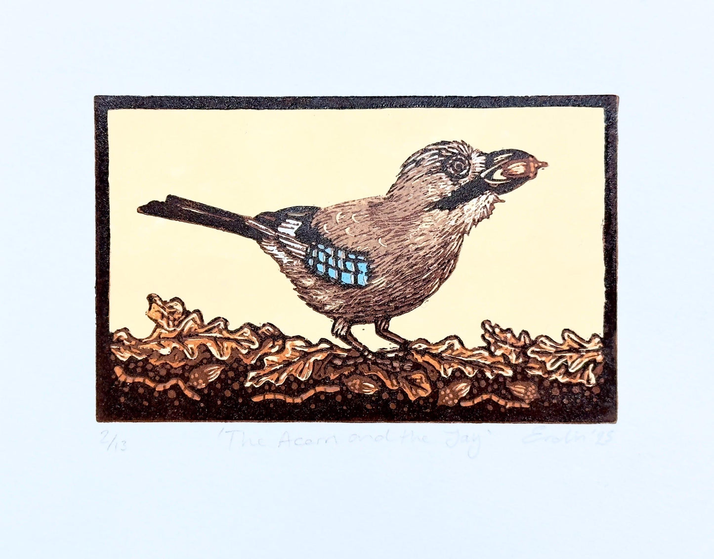 Jay - hand printed original wood engraving