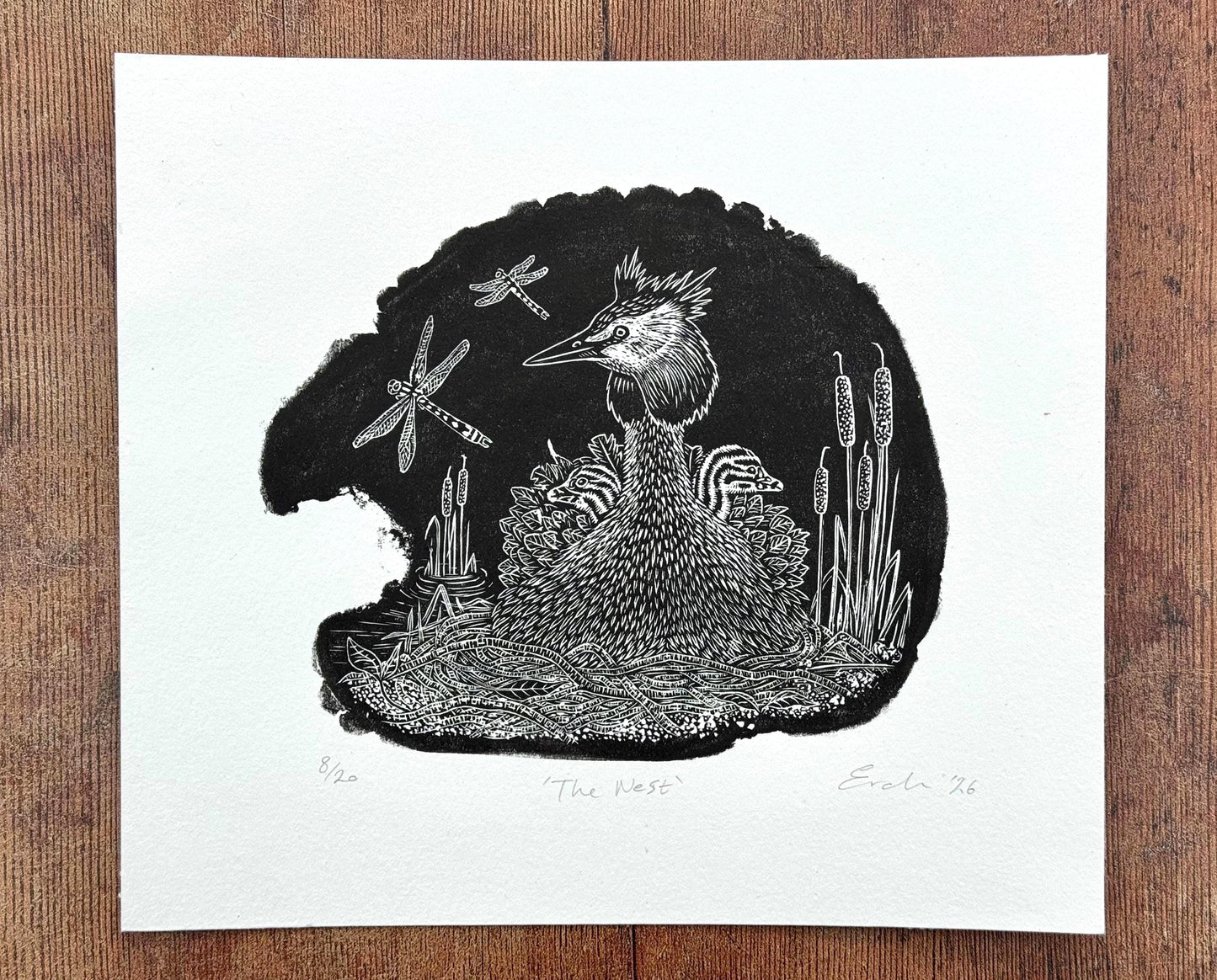 The Nest - Great Crested Grebe wood engraving