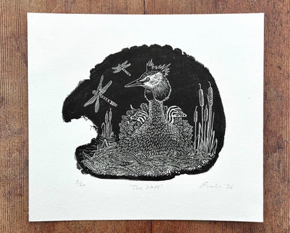 The Nest - Great Crested Grebe wood engraving