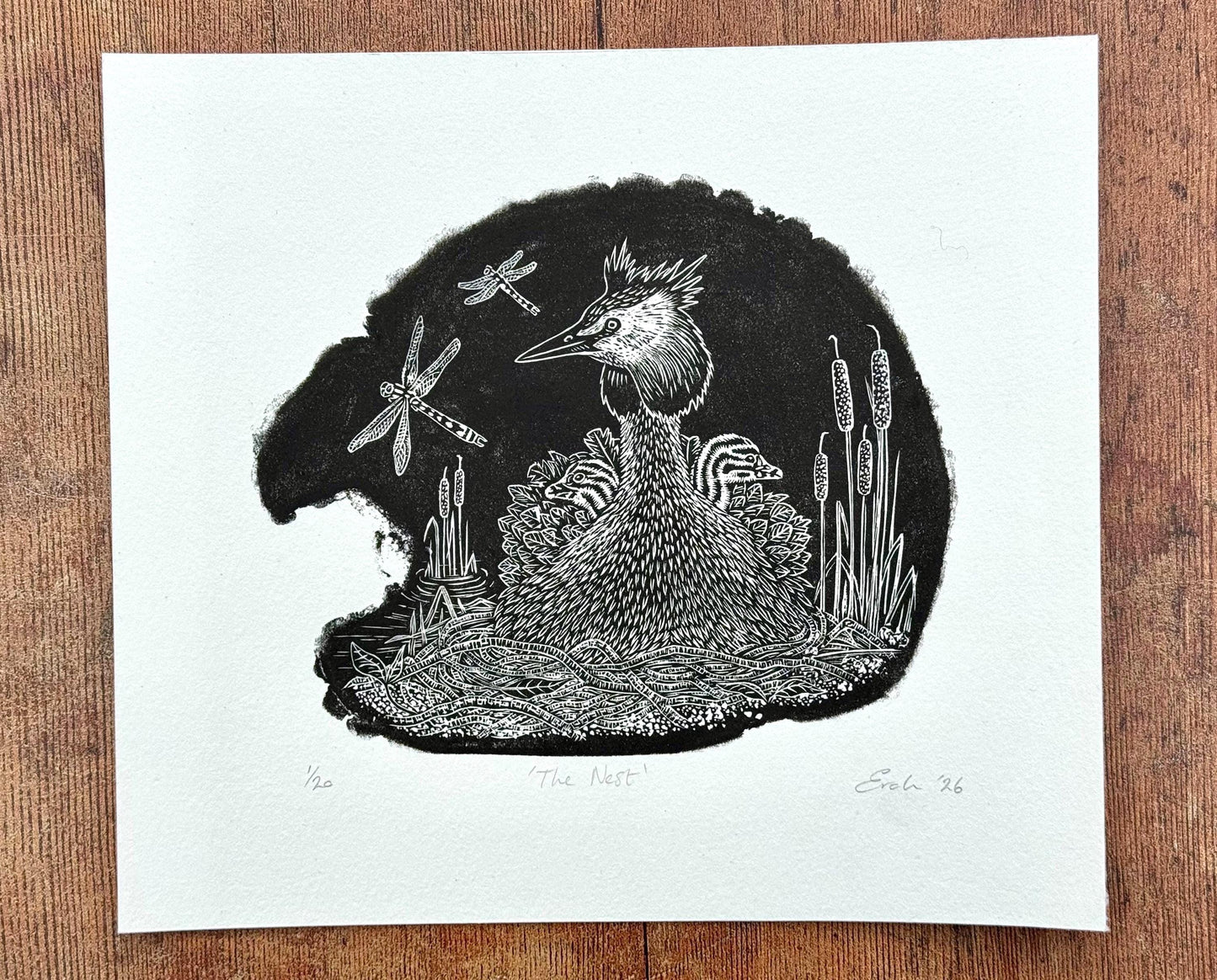 The Nest - Great Crested Grebe wood engraving