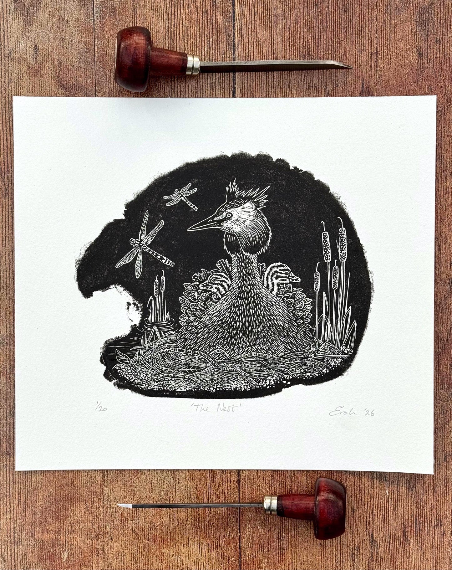 The Nest - Great Crested Grebe wood engraving