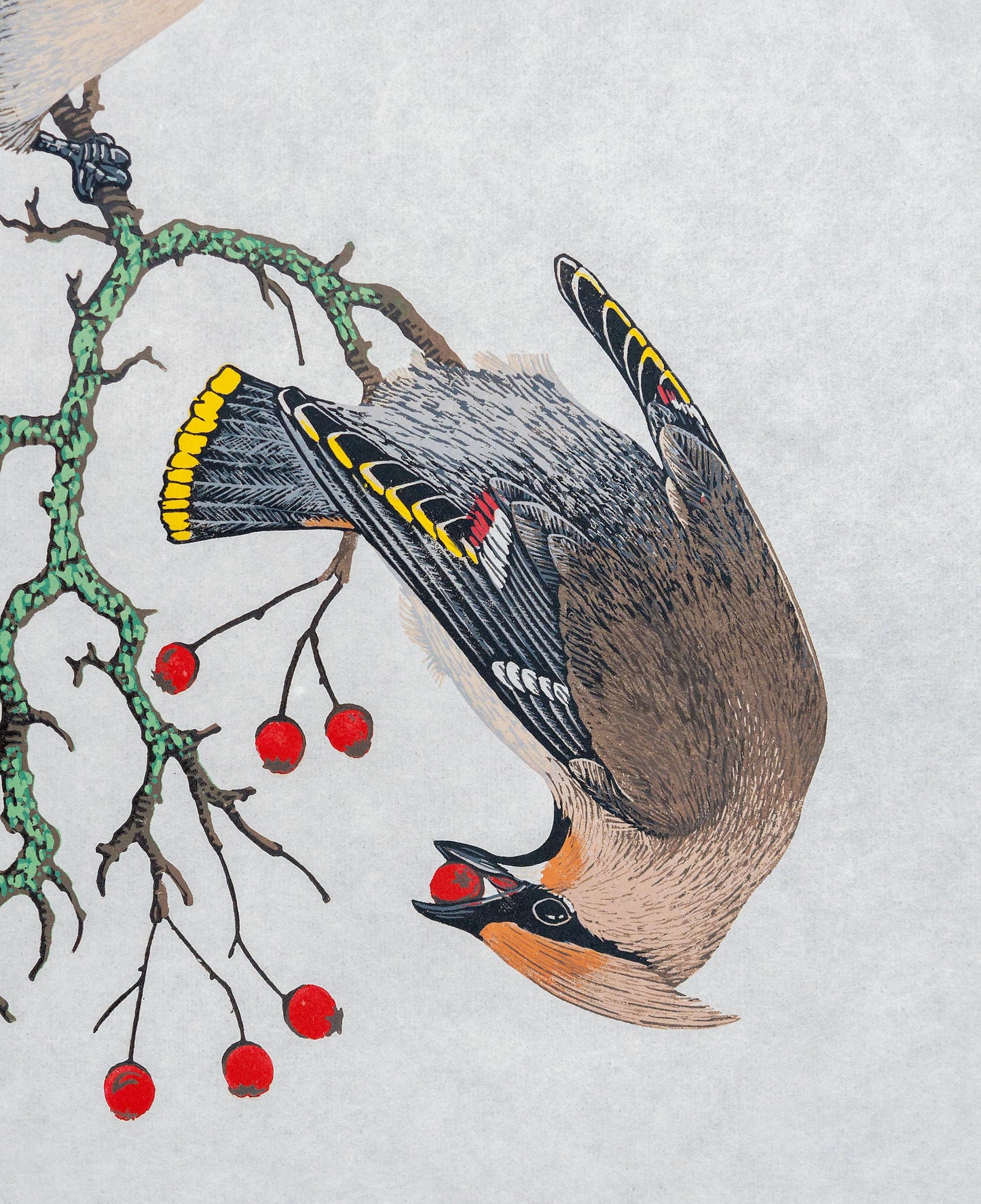 A Museum of Waxwings - original linocut print of Bohemian Waxwings