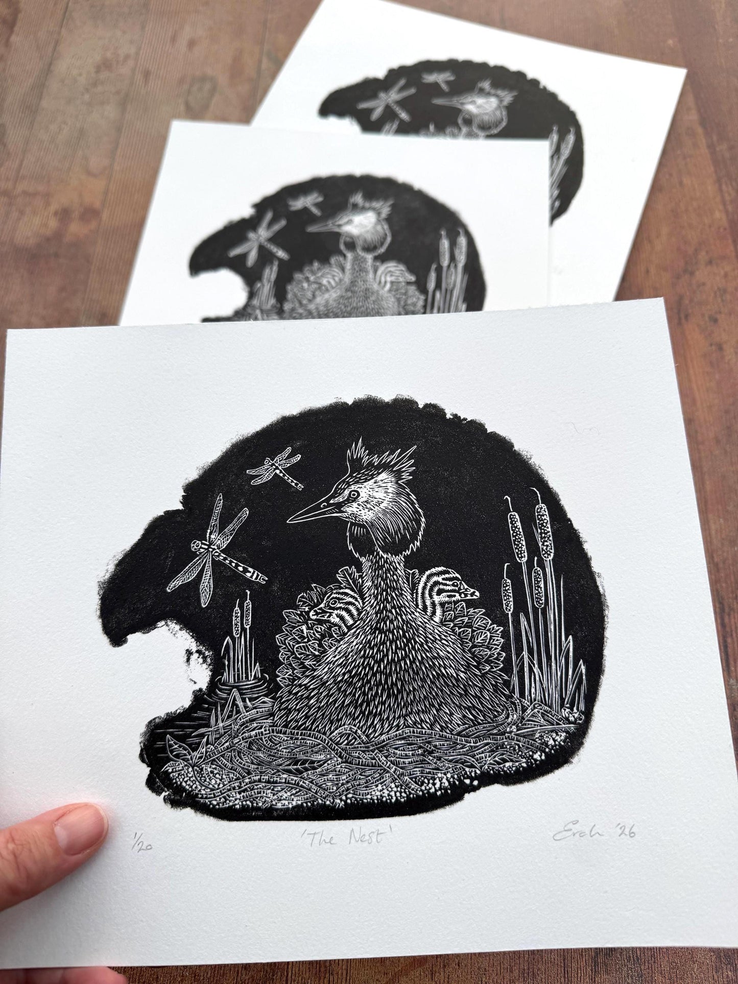 The Nest - Great Crested Grebe wood engraving