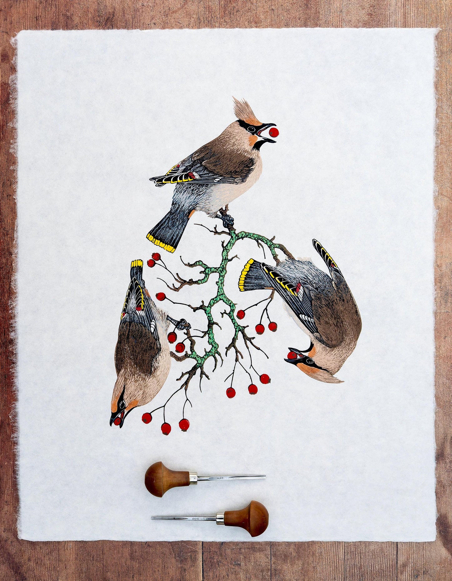 A Museum of Waxwings - original linocut print of Bohemian Waxwings
