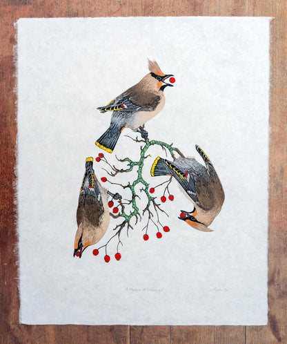 A Museum of Waxwings - original linocut print of Bohemian Waxwings