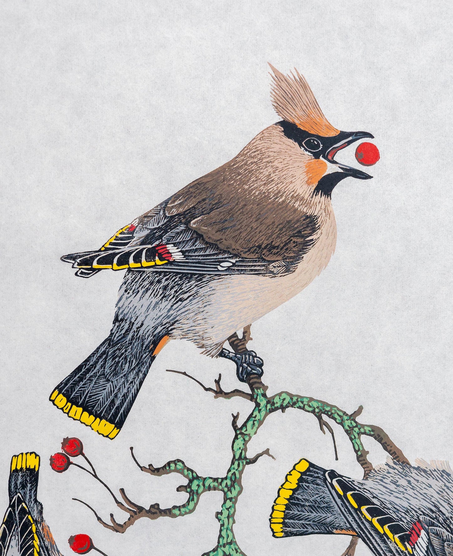 A Museum of Waxwings - original linocut print of Bohemian Waxwings