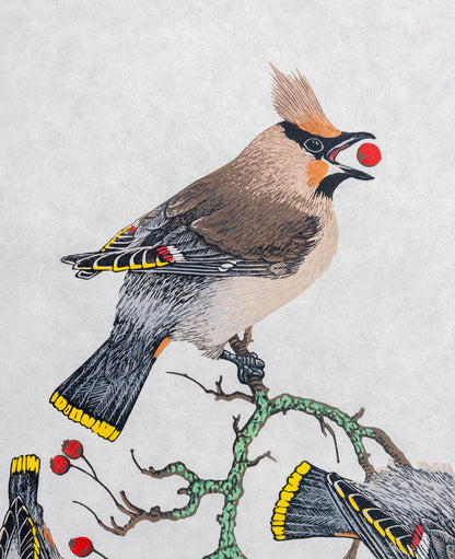 A Museum of Waxwings - original linocut print of Bohemian Waxwings