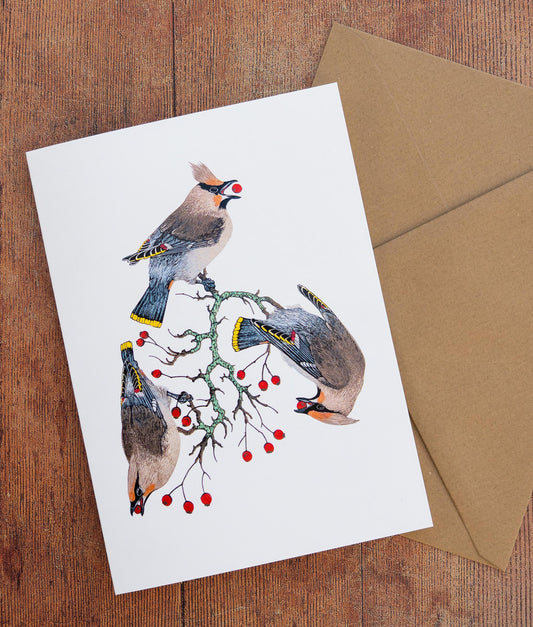 Waxwing cards x4