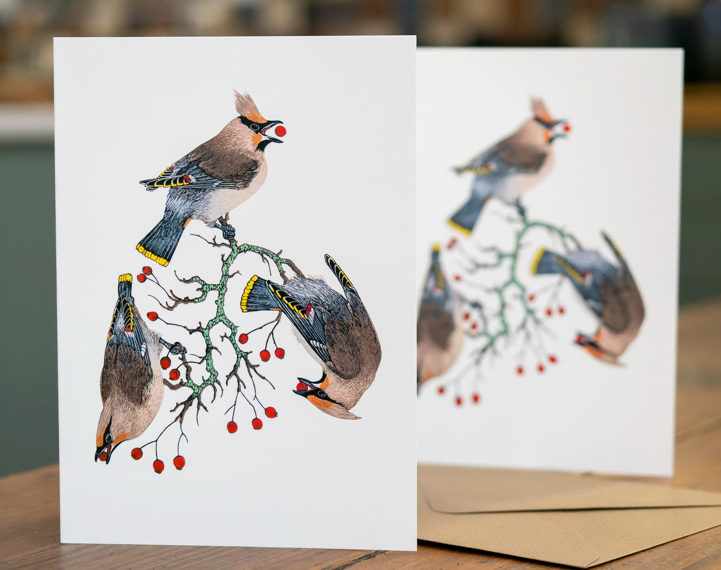 Waxwing cards x4