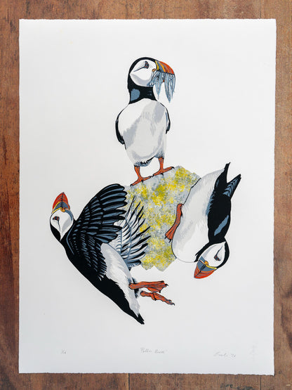 Puffin Rock - original linocut print