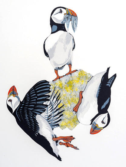Puffin Rock - original linocut print