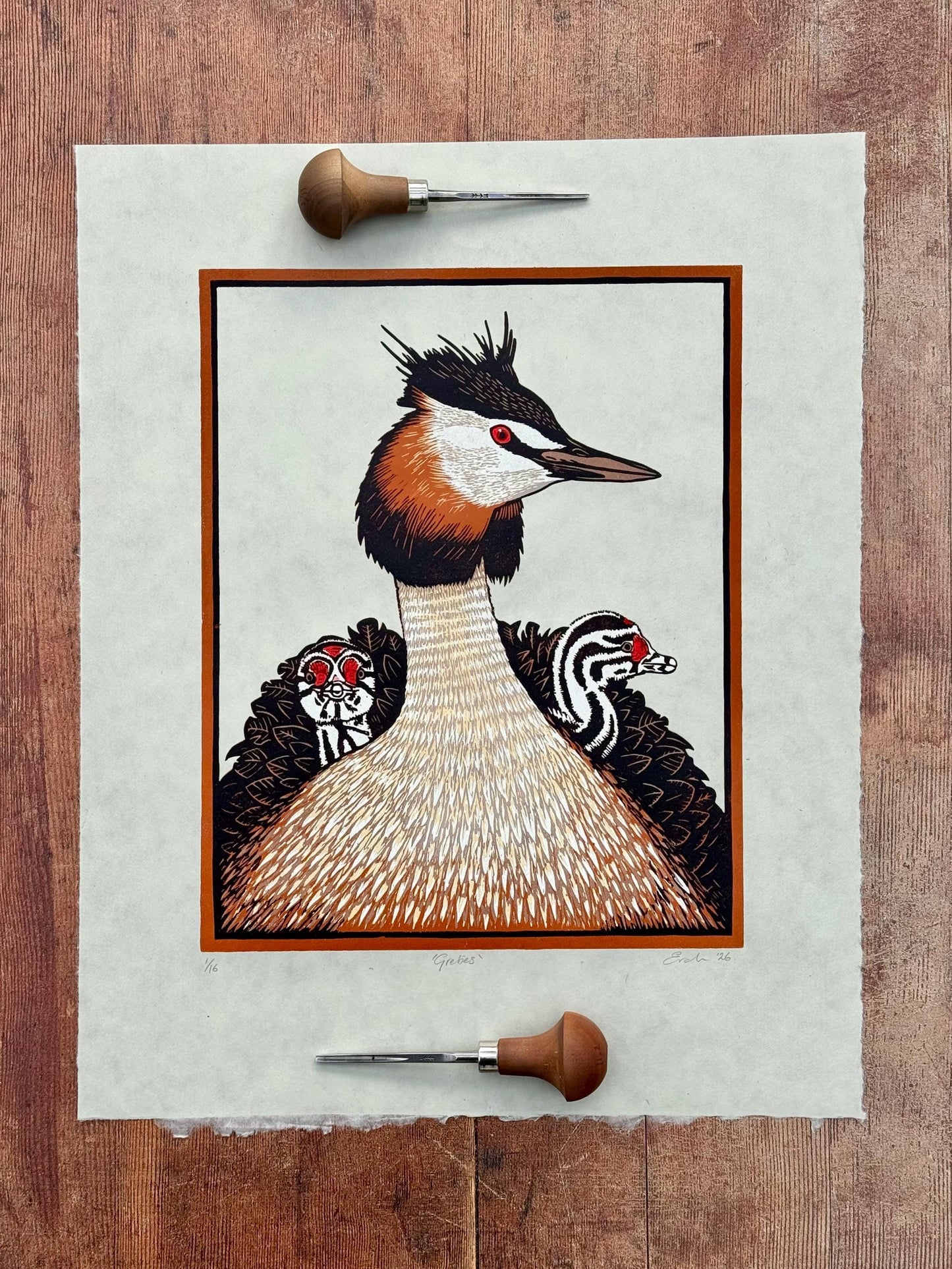 Grebes - original linocut print of great crested grebes