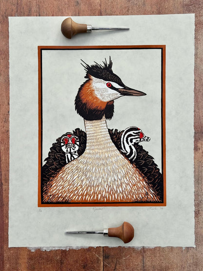 Grebes - original linocut print of great crested grebes