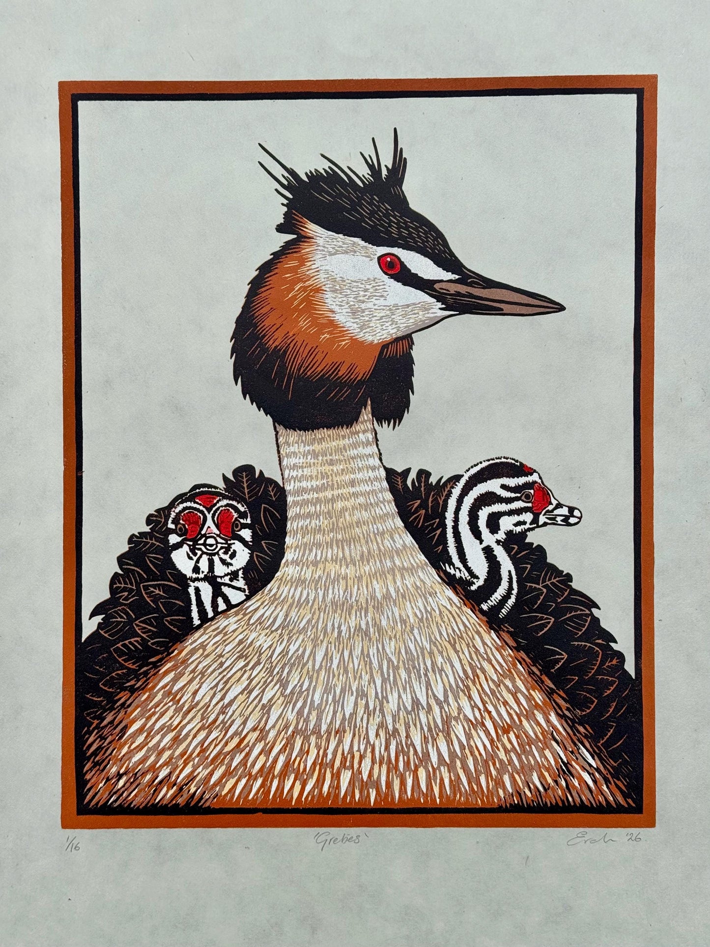 Grebes - original linocut print of great crested grebes