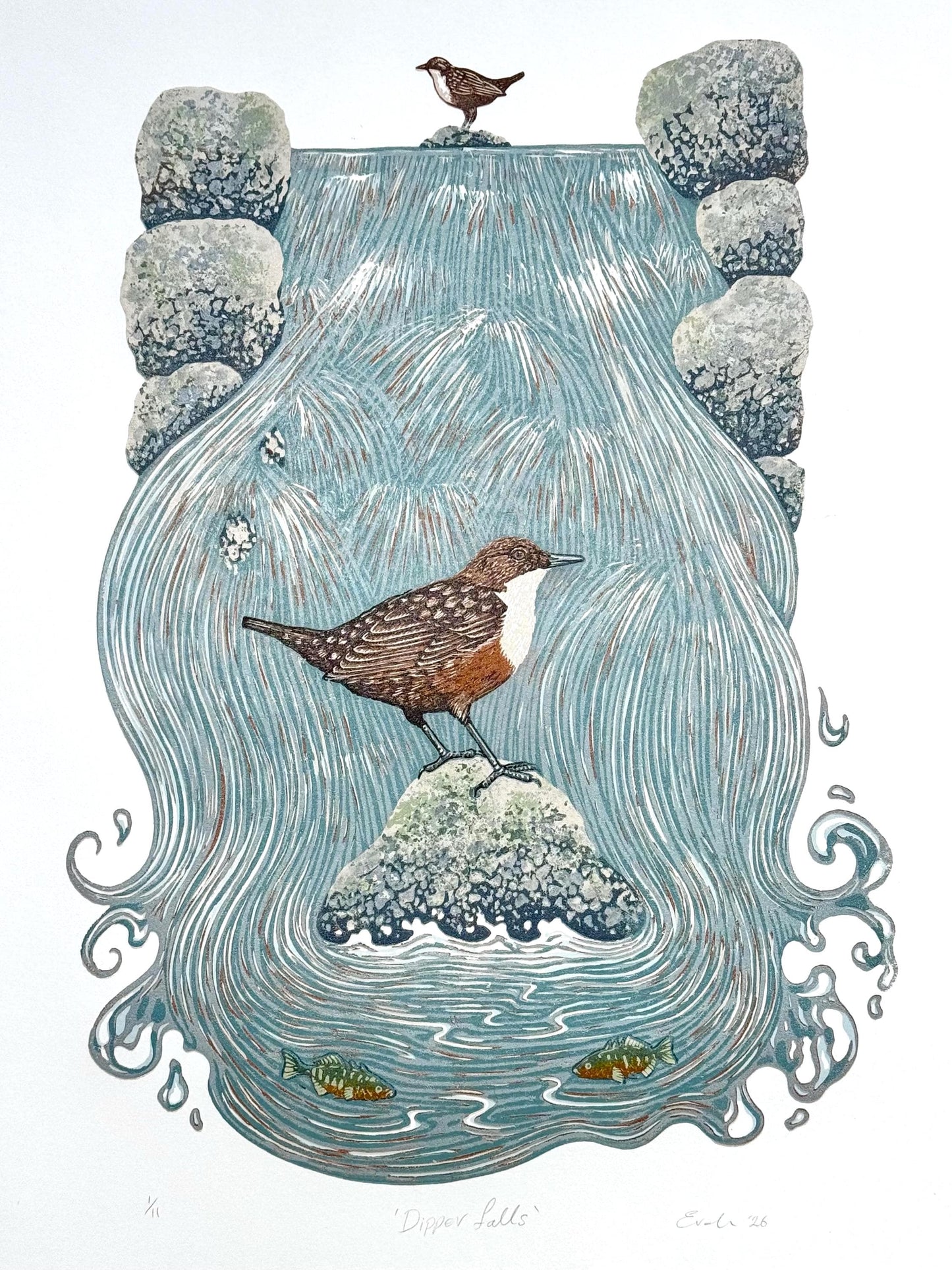 Dipper Falls - original linocut print of a white-throated dipper