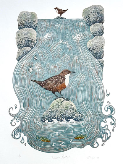 Dipper Falls - original linocut print of a white-throated dipper