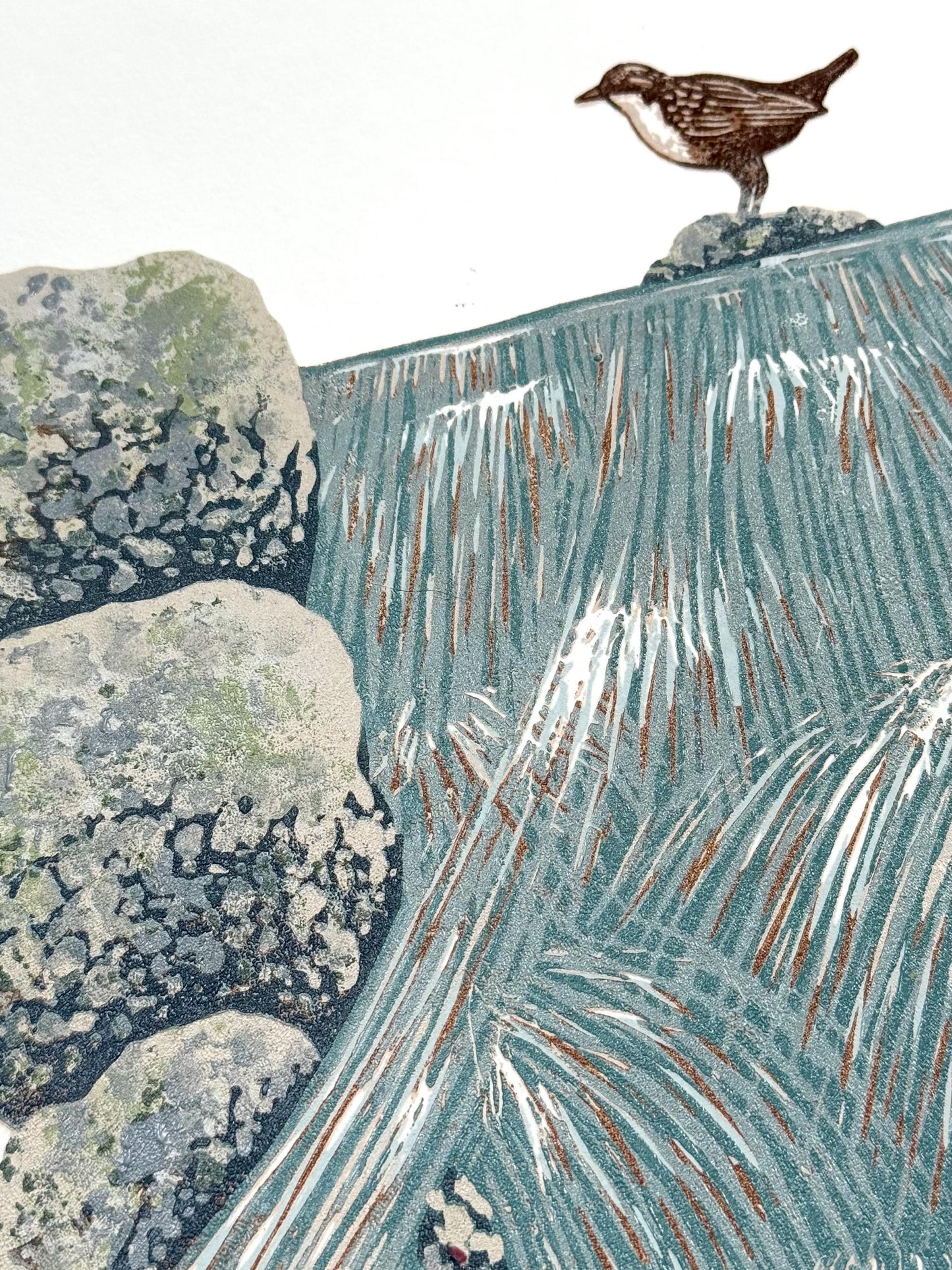 Dipper Falls - original linocut print of a white-throated dipper