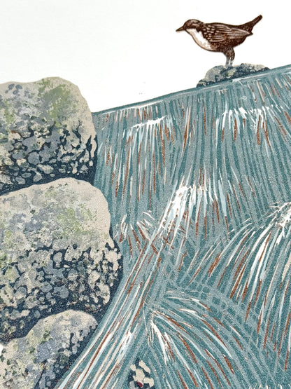 Dipper Falls - original linocut print of a white-throated dipper
