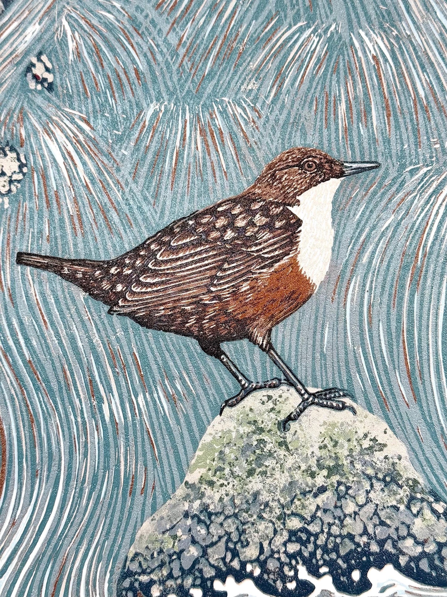 Dipper Falls - original linocut print of a white-throated dipper
