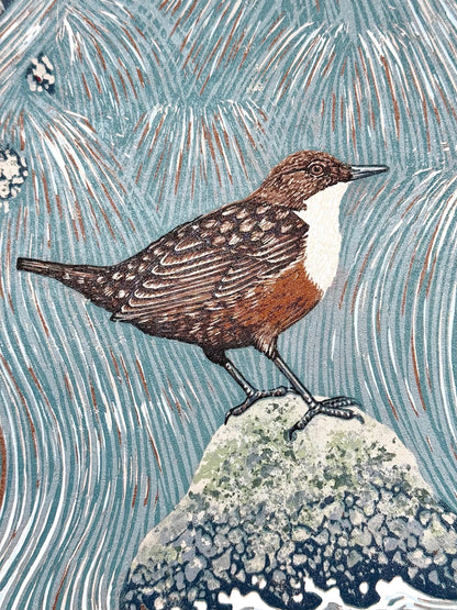 Dipper Falls - original linocut print of a white-throated dipper