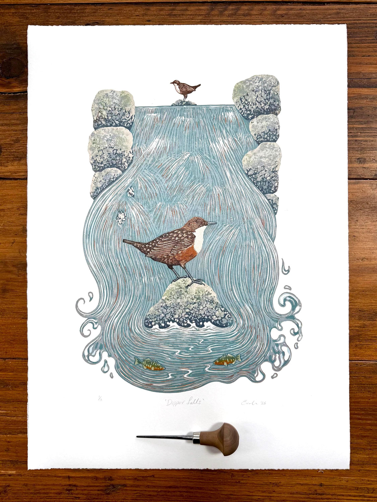 Dipper Falls - original linocut print of a white-throated dipper