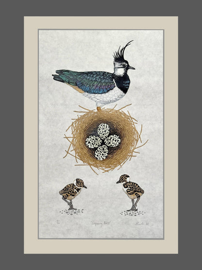 Lapwing Nest - colour linocut print of Lapwings