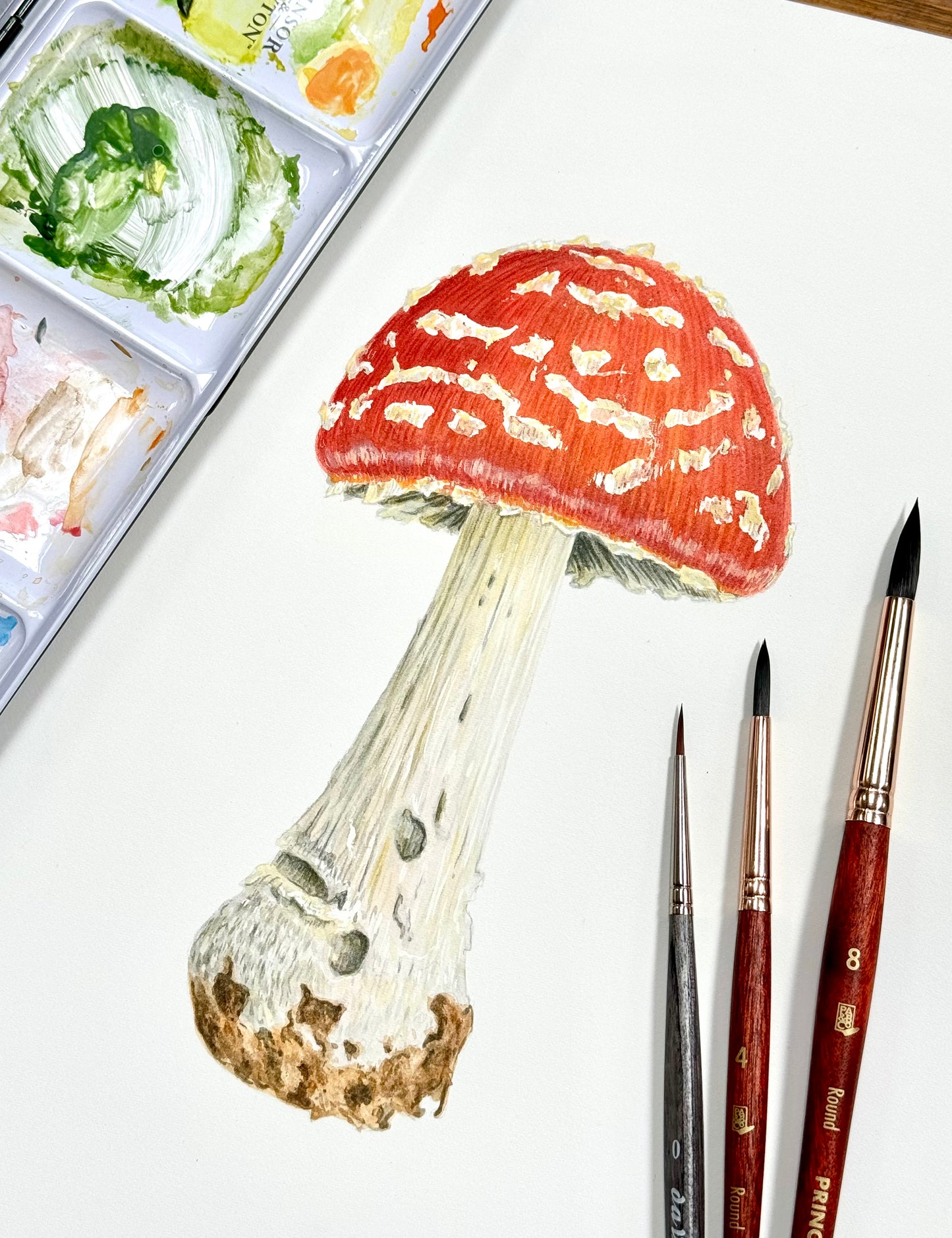 Fly agaric mushroom - Giclée prints