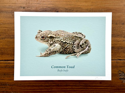 Frog and Toad drawings - Giclée prints